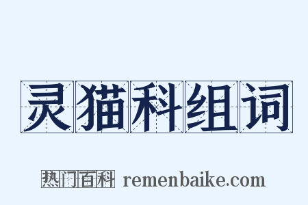 灵猫科组词是什么意思的图片